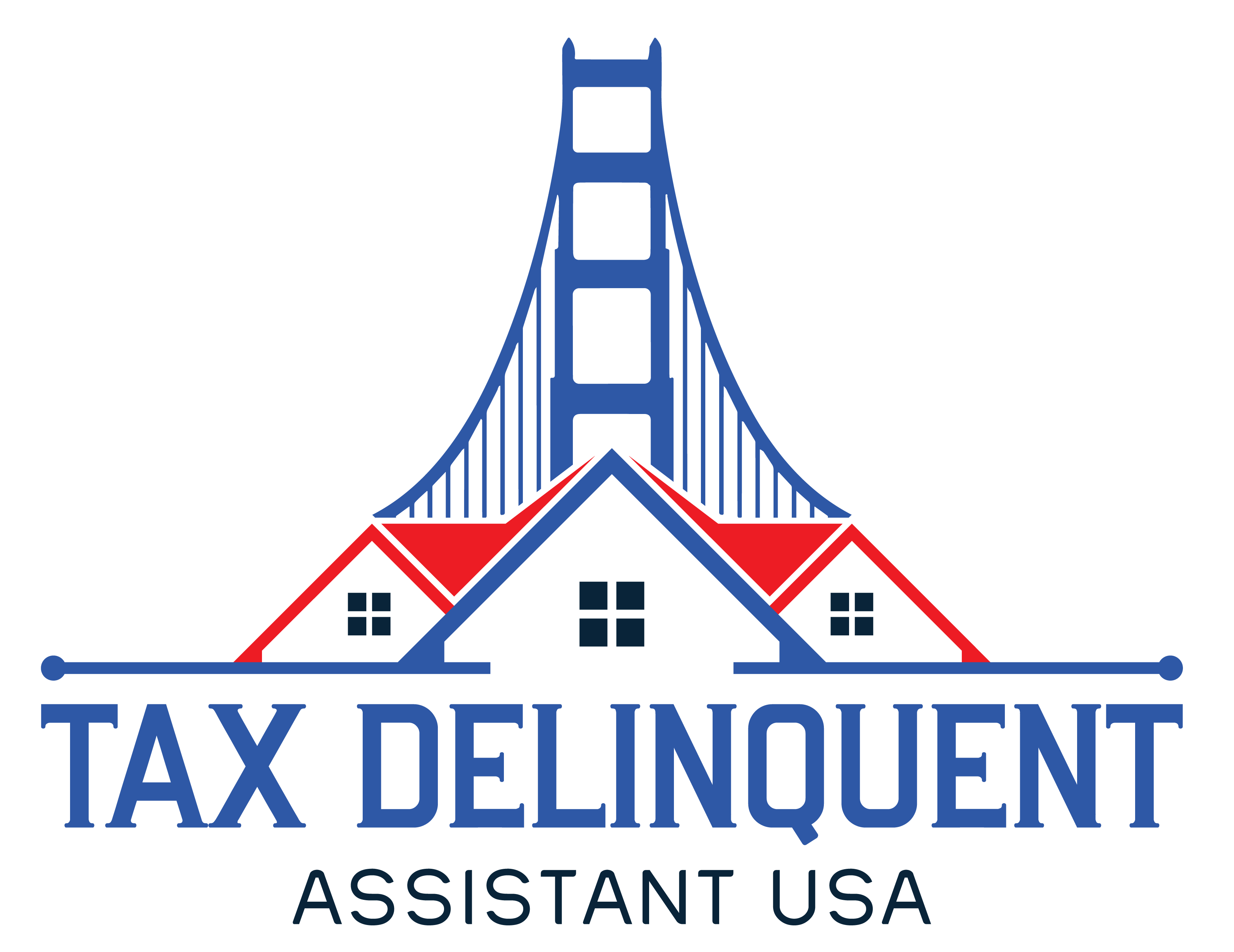 Tax_Deliquent_Assistant_USA.png
