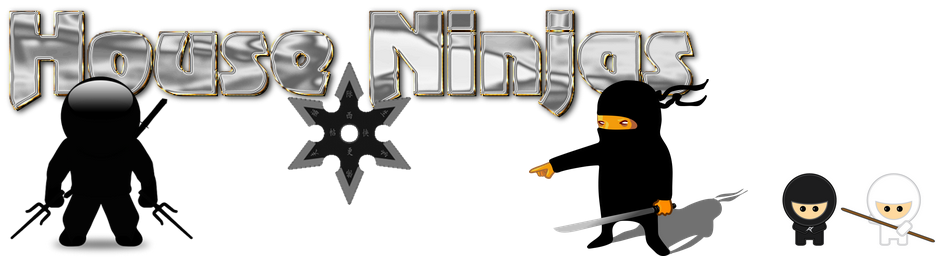 house_ninjas_banner_with_babys.png