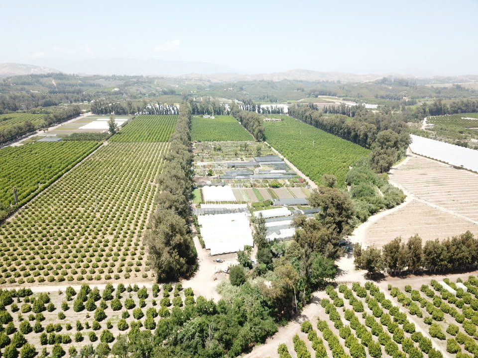 Canyon Rd, Somis, CA for Sale Land Homepie