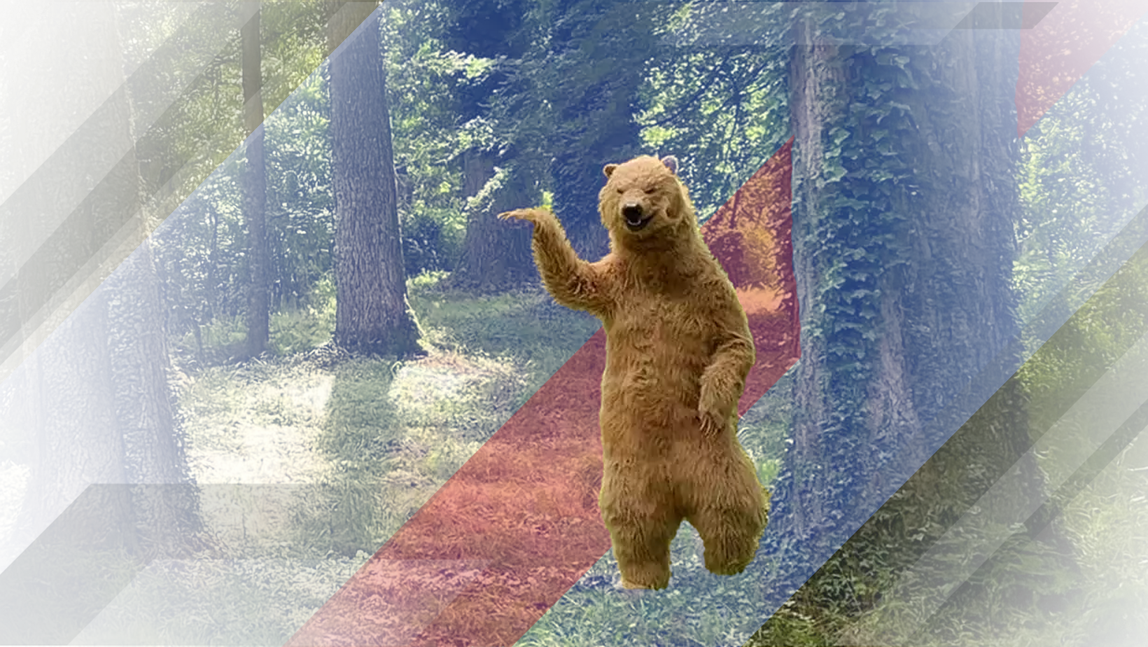 Insurance Fraud Conviction in California Bear Costume Scheme