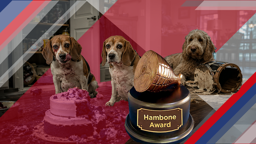 Hambone Awards: Red Velvet Cake, a Vintage Drum and the Pet Insurance Claims Agents Won’t Forget