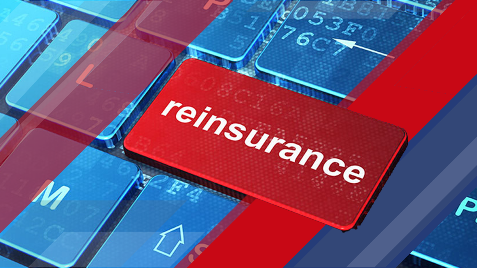 Year-End Reinsurance Renewals Show Dynamic Market Changes