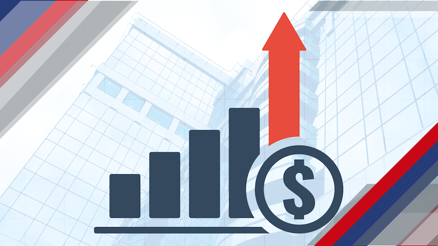 The Role of Insurance in Economic Growth