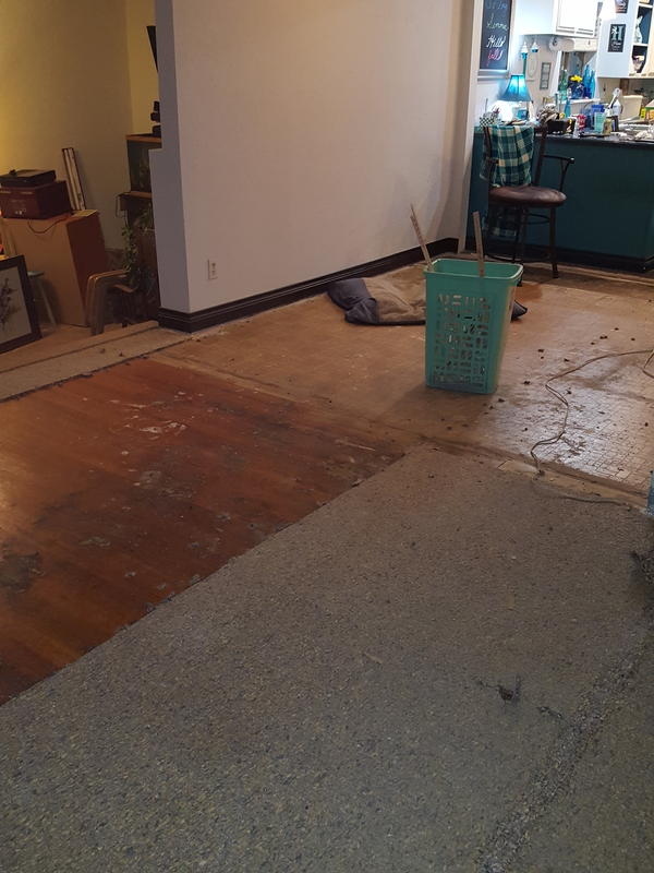 Before and After Lumber Liquidators