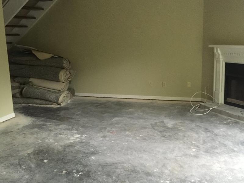 Before and After Lumber Liquidators