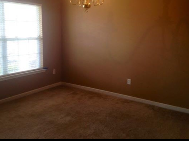 Before and After Lumber Liquidators