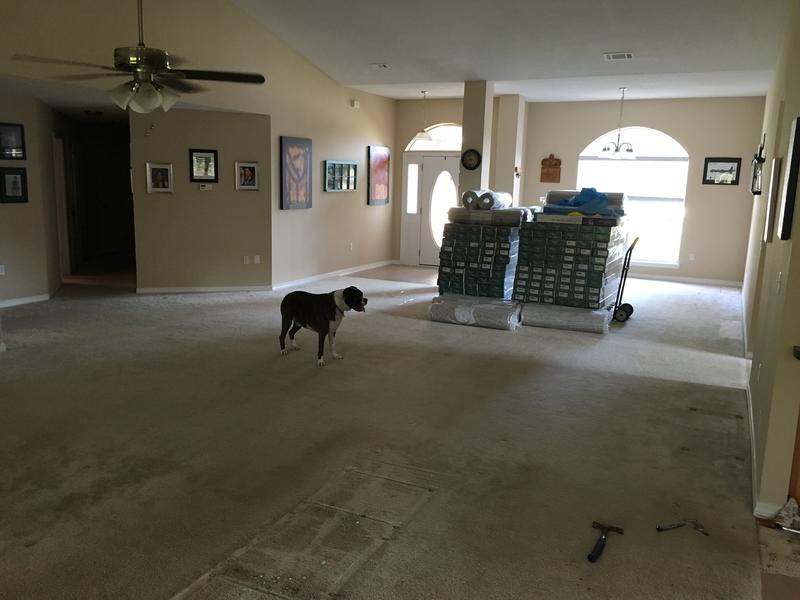 Before and After Lumber Liquidators