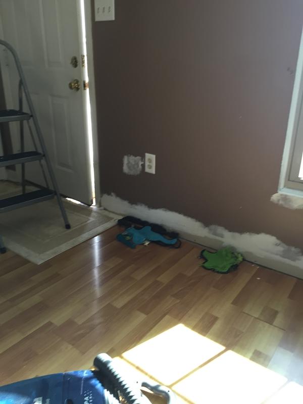 Before and After Lumber Liquidators