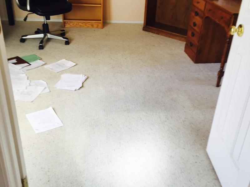 Before and After Lumber Liquidators