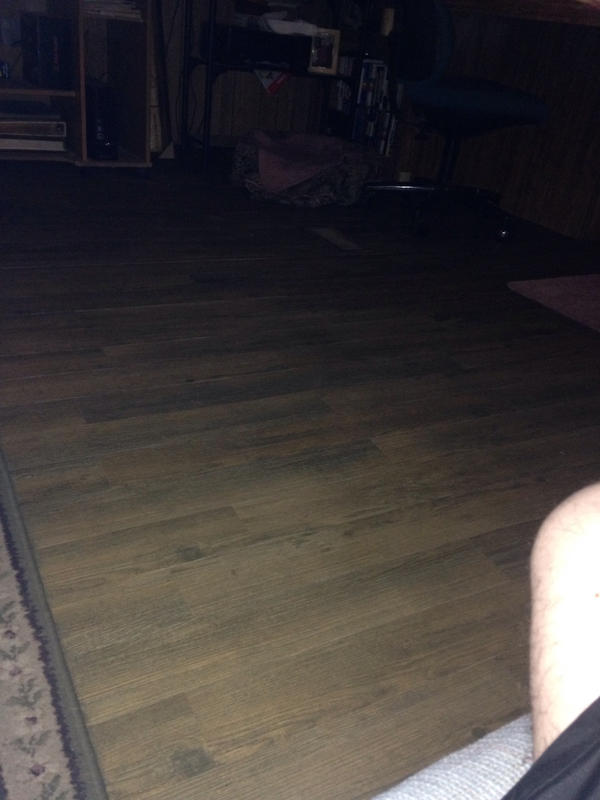 Tranquility 1.5mm North Perry Pine Peel & Stick Luxury Vinyl Plank