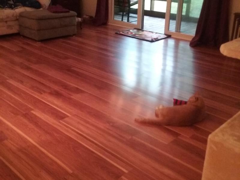 Dream Home 10mm+pad Hot Springs Hickory Laminate Lumber Liquidators