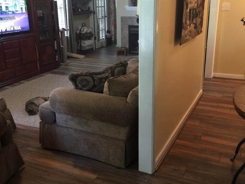 Dream Home XD 12mm New Haven Harbor Oak Lumber Liquidators Flooring Co.