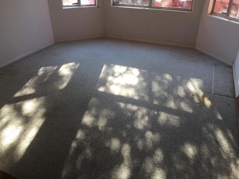 Before and After Lumber Liquidators