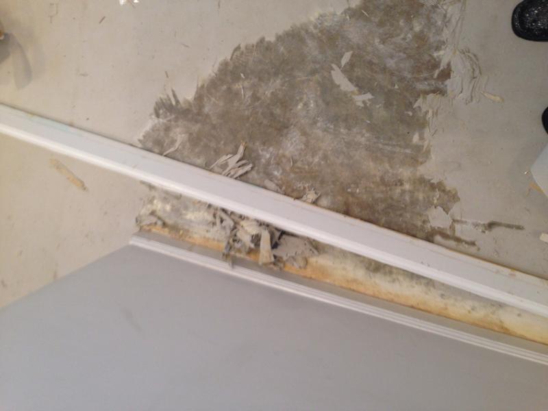 Before and After Lumber Liquidators