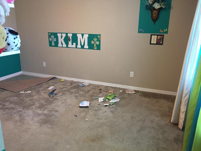 Before and After Lumber Liquidators