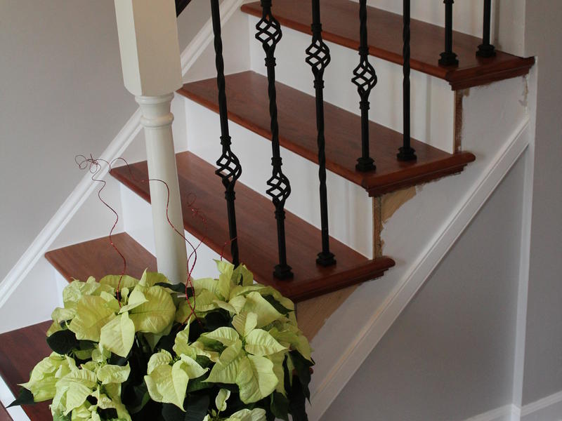 Before and After Lumber Liquidators