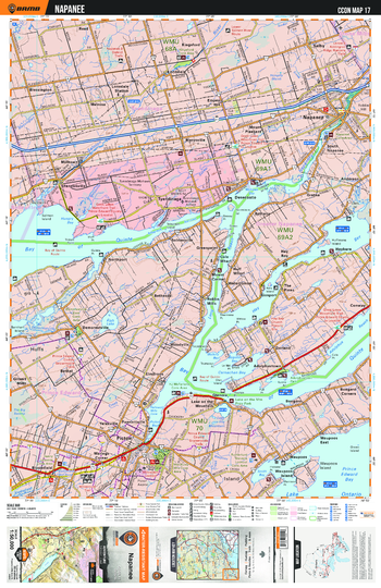 CCON17 Napanee - Cottage Country Ontario Topo