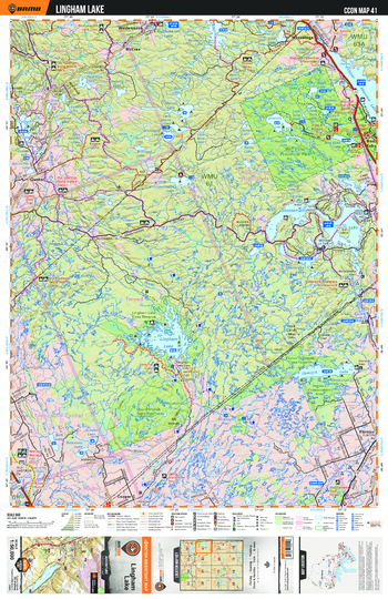 CCON41 Lingham Lake - Cottage Country Ontario Topo