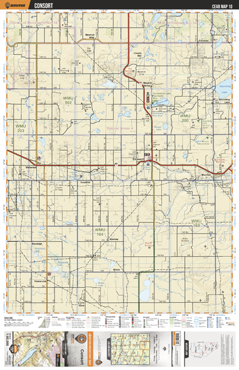 CEAB10 Consort - Central Alberta Topo