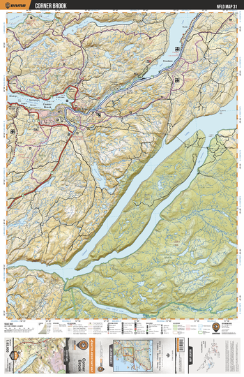 NLNL31 Corner Brook - Newfoundland and Labrador Topo