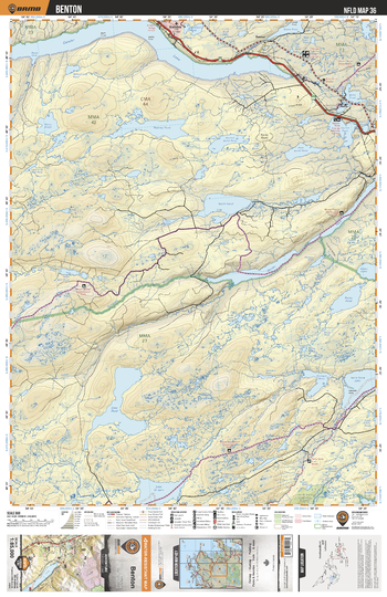 NLNL36 Benton - Newfoundland and Labrador Topo