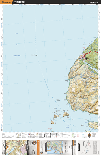 NLNL39 Trout River - Newfoundland and Labrador Topo