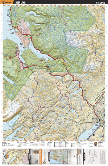 NLNL40 Deer Lake - Newfoundland and Labrador Topo