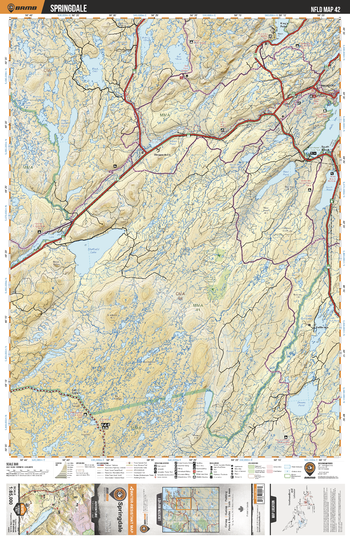 NLNL42 Springdale - Newfoundland and Labrador Topo