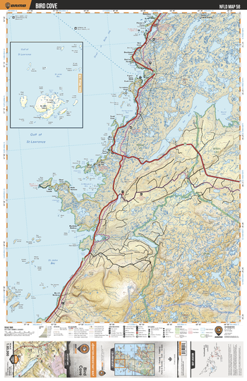 NLNL58 Bird Cove - Newfoundland and Labrador Topo
