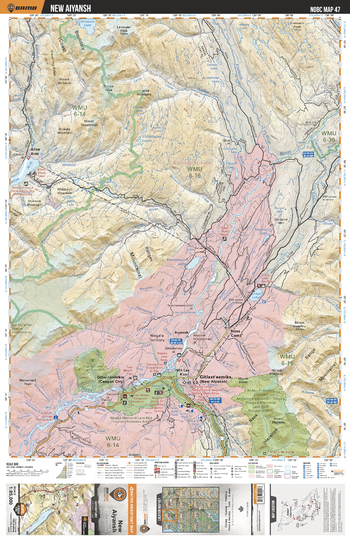 NOBC47 New Aiyansh - Northern BC