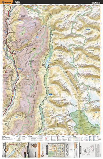 TOBC39 Avola - Thompson Okanagan BC Topo Map