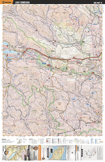 VIBC10 Lake Cowichan - Vancouver Island BC Topo