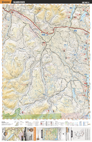 VIBC41 Salmon River - Vancouver Island BC Topo