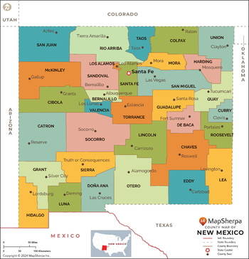 New Mexico Counties Map - Standard