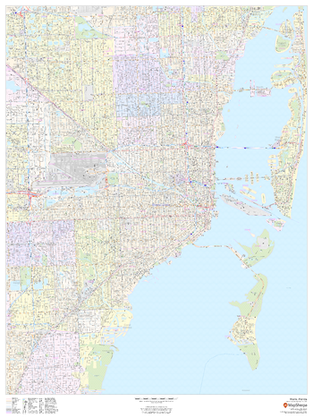 Miami, Florida - Portrait