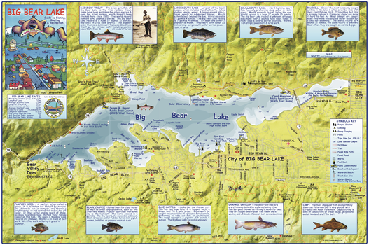 Big Bear Lake California Wall Map