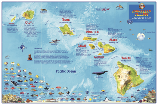 Hawaiian Islands Wall Map