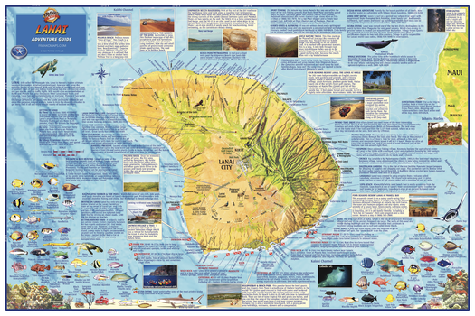 Lanai, Hawaii Wall Map