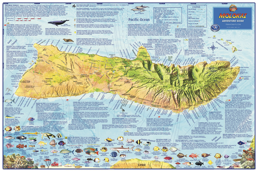 Molokai, Hawaii Wall Map