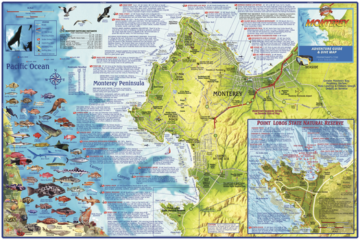 Monterey Bay, California Wall Map