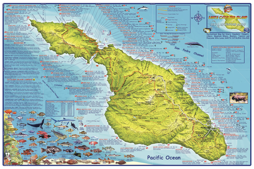Santa Catalina Island, California Wall Map