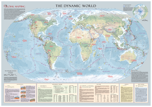 The Dynamic World Wall Map - Large