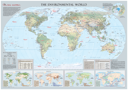 Environmental World Wall Map - Large