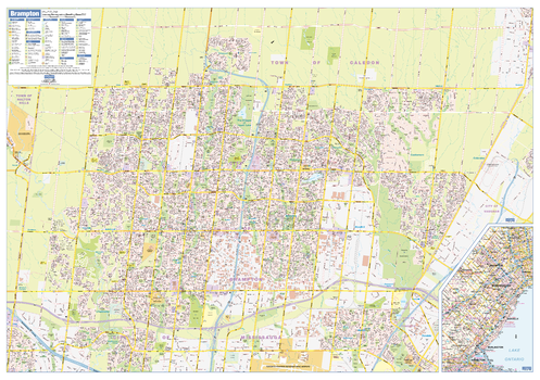 Brampton Wall Map - Street Detail - Large