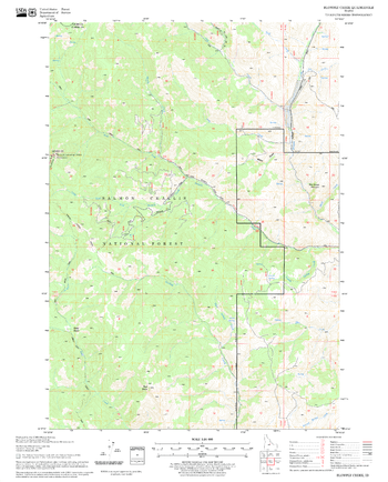 Blowfly Creek Quadrangle, Idaho