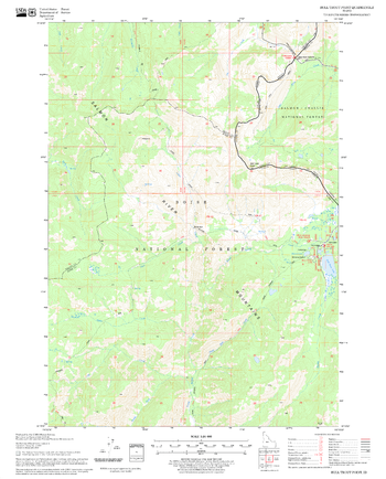 Bull Trout Point Quadrangle, Idaho