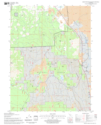 Burney Mountain East Quadrangle, California