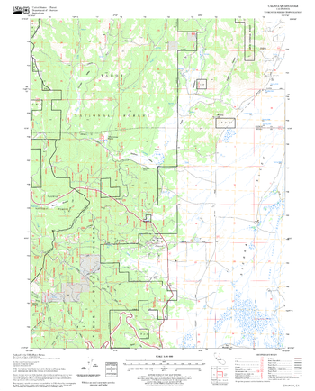 Calpine Quadrangle, California
