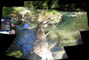 dan bennett | Surveying fish habitat in seattle | Cedar River, Washington