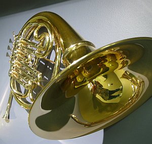 John Darrow | French horn | San Jose, California